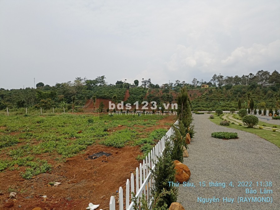 Đất nền biệt thự Bảo Lộc sổ hồng riêng công chứng ngay liên hệ 0377307892
