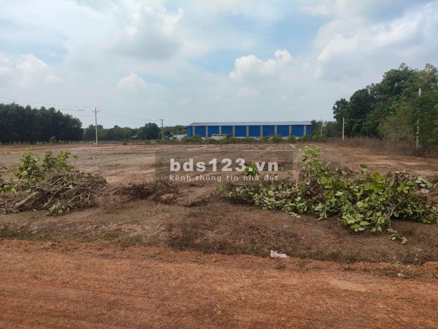 Bán gấp 3667m2 đất giá 350 triệu , sổ riêng công chứng trong ngày, lh 0989865664