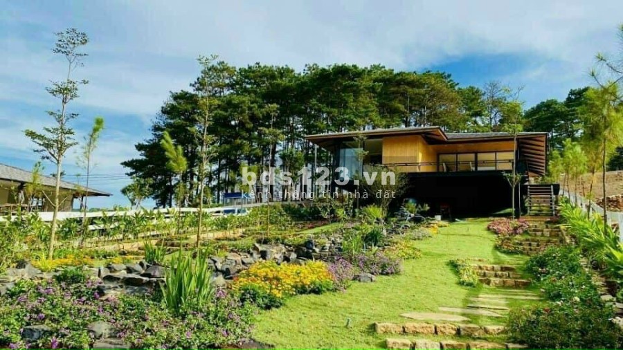 Khu biêt thự nghỉ dưỡng Dalat Pearl Lâm Đồng liên hệ 0336414816, sổ hồng chính chủ