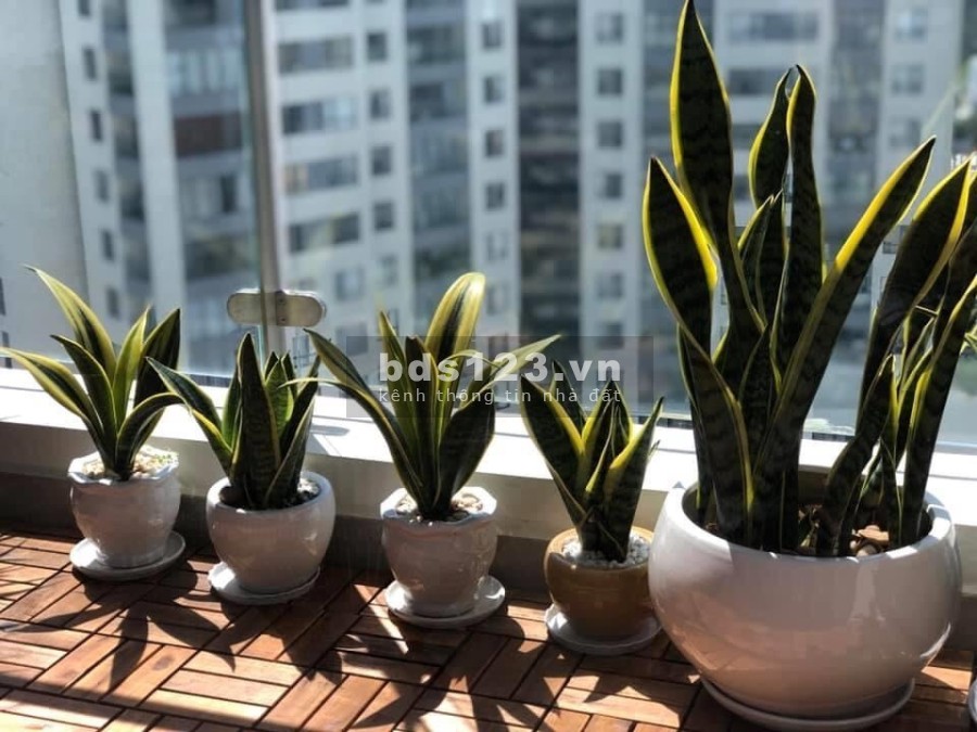 Căn hộ 1 pn đầy đủ nội thất xinh xắn Đảo Kim Cương giá tốt chỉ 14 triệu/tháng