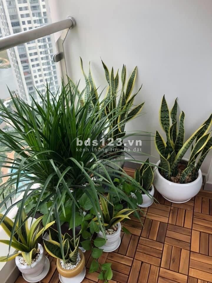 Căn hộ 1 pn đầy đủ nội thất xinh xắn Đảo Kim Cương giá tốt chỉ 14 triệu/tháng