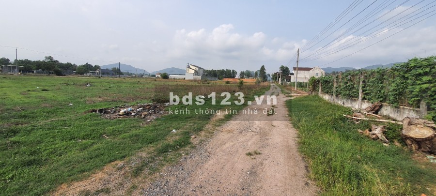 Lam Sơn Phước Hoà giá bán rẻ như cho cọc liền, pháp lý rõ ràng, minh bạch, sổ riêng không tranh chấp