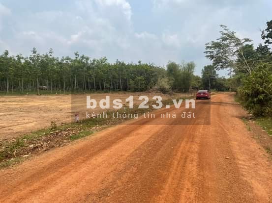 Bán gấp 3667m2 đất giá 350 triệu , sổ riêng công chứng trong ngày, lh 0989865664