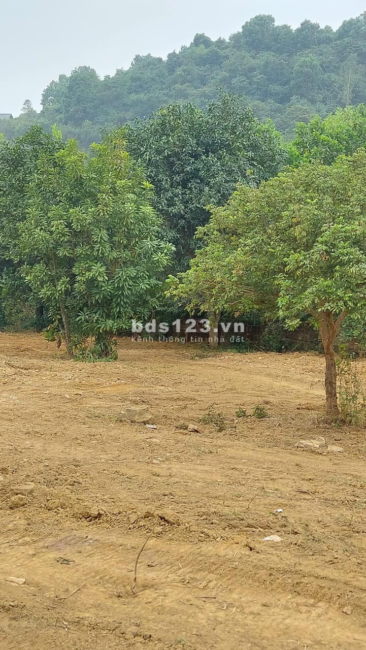 Lô đất bám hồ Vị trí đắc địa tại trung tâm xã Cư Yên nằm trong quy hoạch Lương Sơn