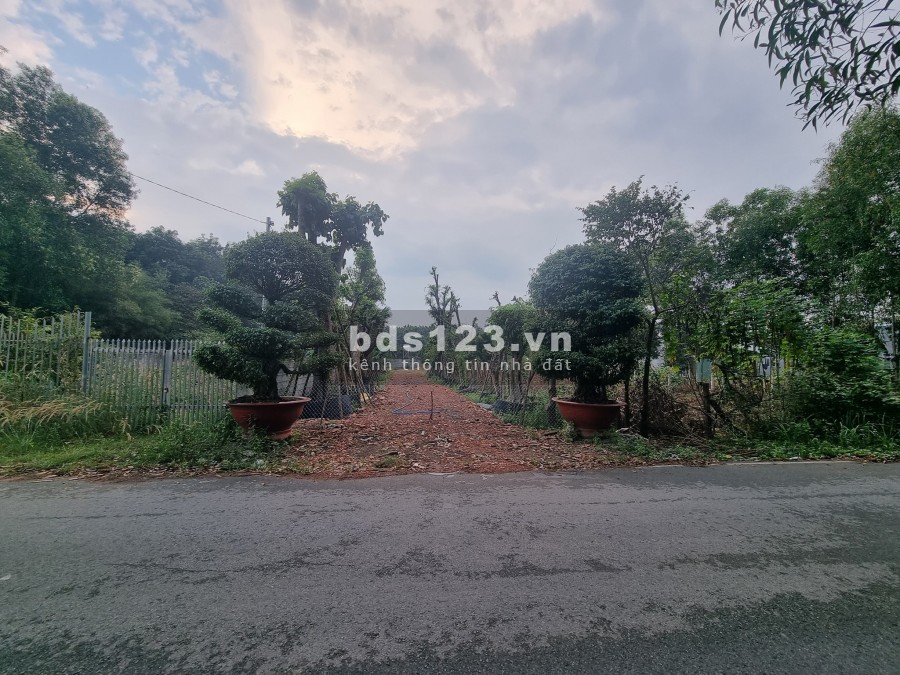 Người nhà cần bán đất phường Định Hoà, Thủ Dầu Một, Bình Dương, lh 0969511149
