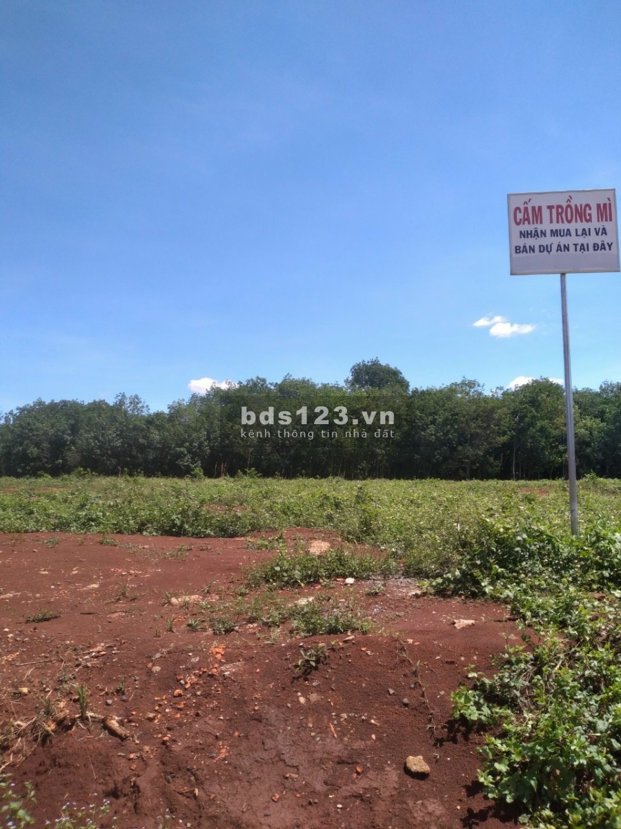Đất Đồng Tiến giá rẻ chỉ 789tr diện tích sử dụng 300m2 có 100m thổ cư giá tốt đầu tư