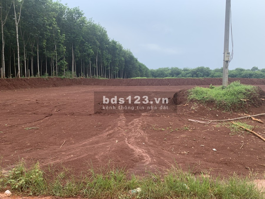 Bán đất thổ cư giá siêu hấp dẫn chỉ 550 triệu tại Hớn Quản Bình Phước, pháp lý đủ