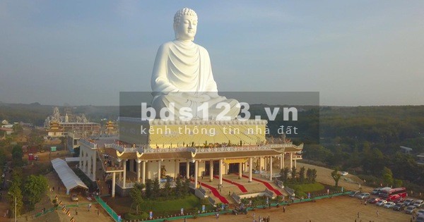 CHÍNH CHỦ BÁN 6 SÀO ĐẤT SHR CÓ TÊN ĐƯỜNG – GIÁ RẺ.