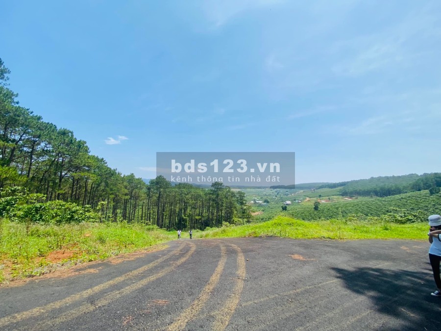 Đất F0 giá tốt view rừng thông bao phủ nằm ngay trục đường DT725, sổ riêng, pháp lý đủ