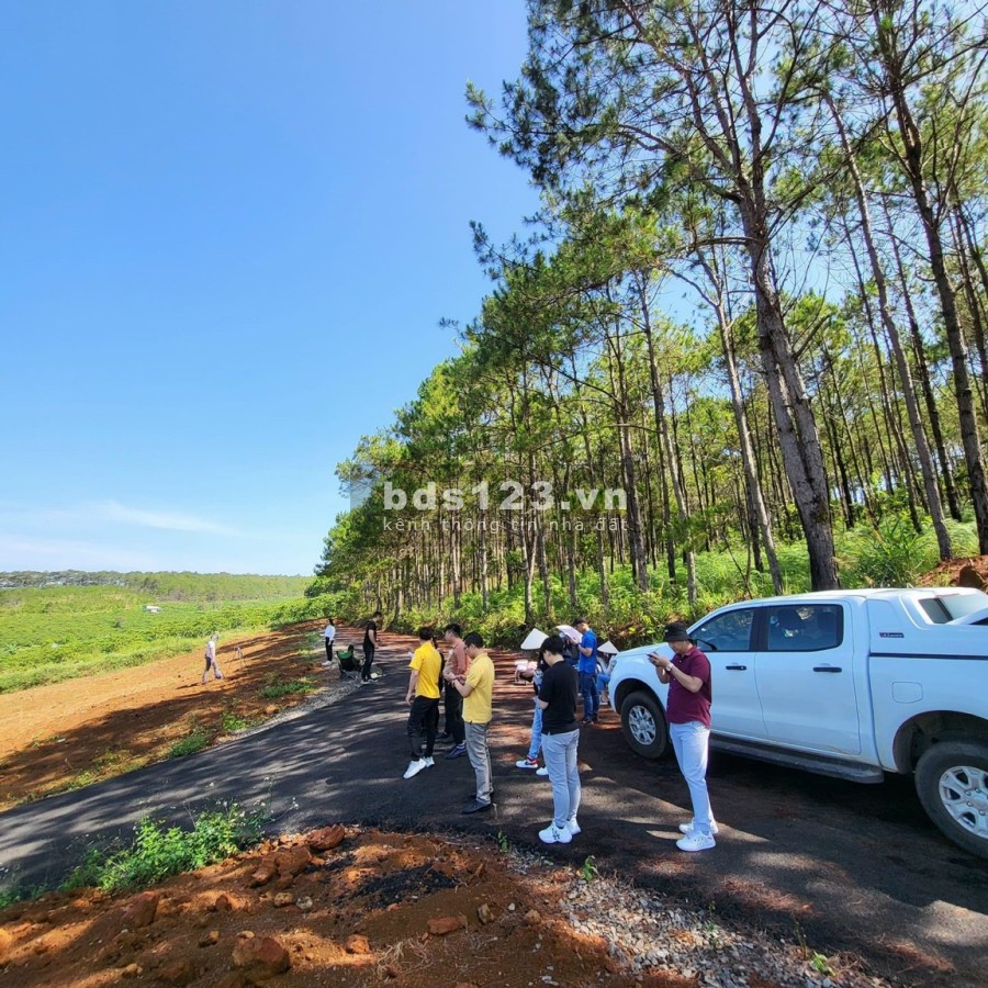Bán đất nghỉ dưỡng view rừng thông, giá từ 750 triệu, pháp lý chuẩn, bàn giao ngay