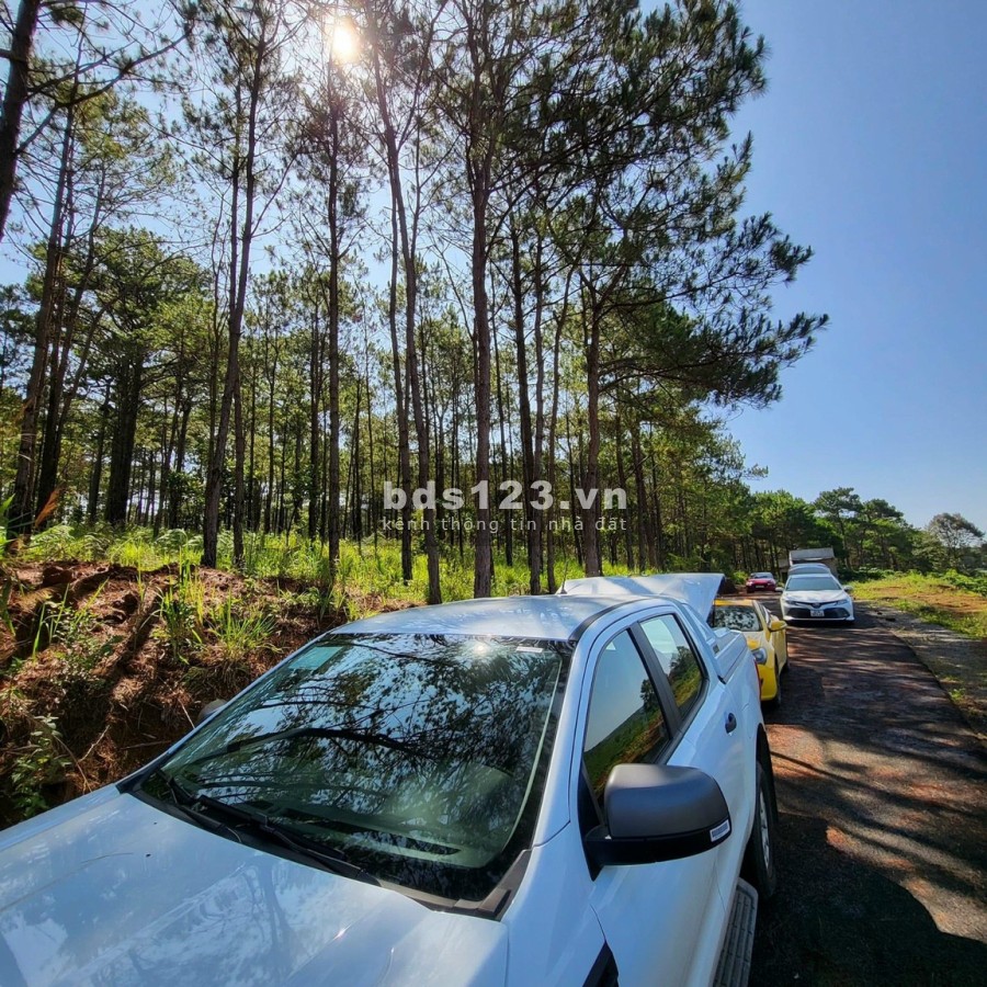 Bán đất nghỉ dưỡng view rừng thông, giá từ 750 triệu, pháp lý chuẩn, bàn giao ngay