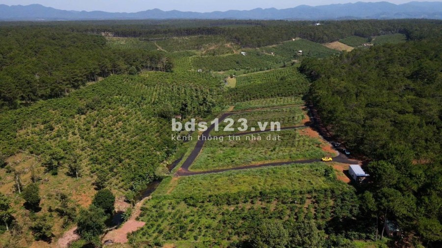 Bán đất nghỉ dưỡng view rừng thông, giá từ 750 triệu, pháp lý chuẩn, bàn giao ngay