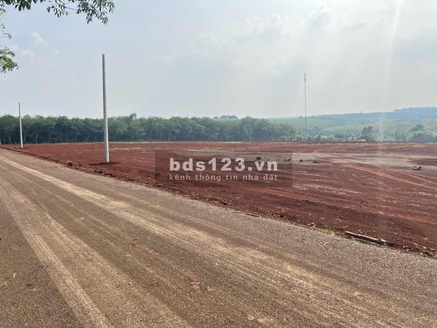 Bán đất thổ cư giá siêu hấp dẫn chỉ 550 triệu tại Hớn Quản Bình Phước, pháp lý đủ