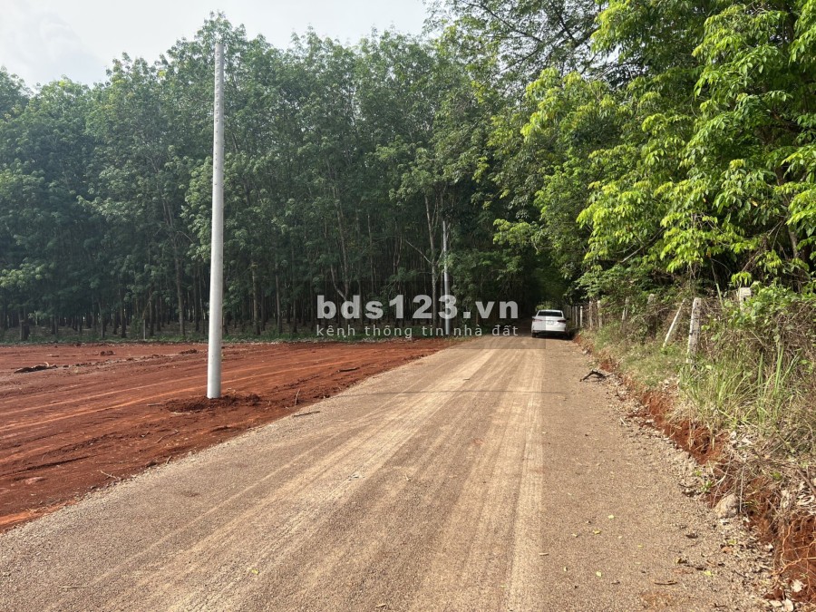 Bán đất thổ cư giá siêu hấp dẫn chỉ 550 triệu tại Hớn Quản Bình Phước, pháp lý đủ