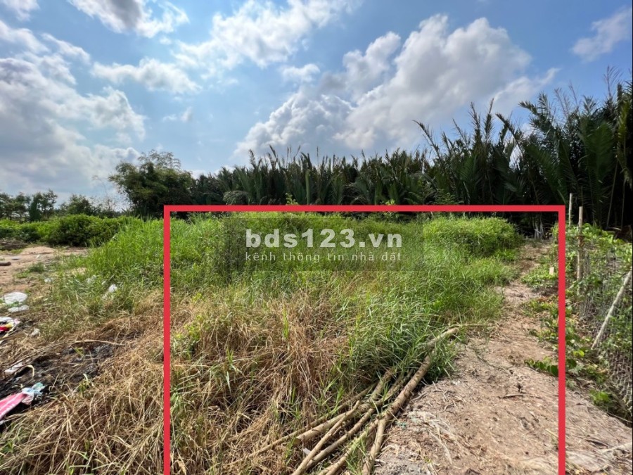 Bán đất 158m2, thổ cư sổ hồng riêng xã Phước Lai, Cần Giuộc Long An, giá đầu tư sinh lời