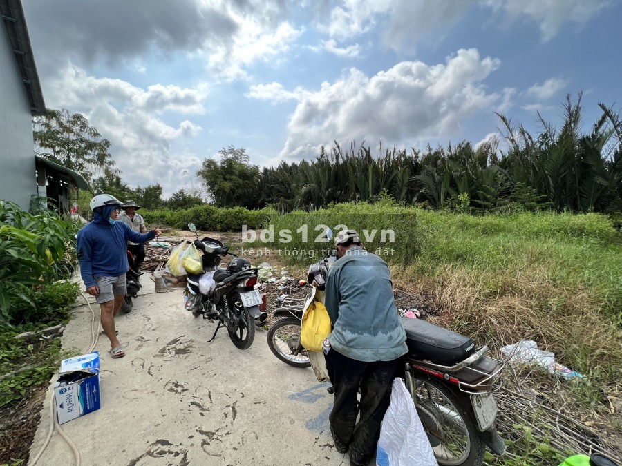 Bán đất 158m2, thổ cư sổ hồng riêng xã Phước Lai, Cần Giuộc Long An, giá đầu tư sinh lời