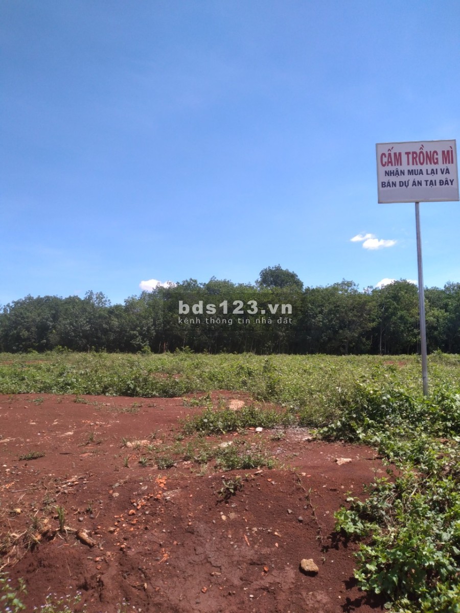 Đất nền bình phước giá rẻLiên hệ : 0868.93.94.97????????????