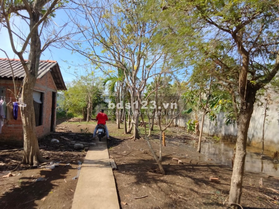 Cho thuê nhà đất MT lộ và MT sông tại Cần Giuộc Long An giá 6t/tháng