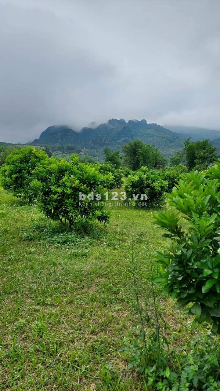Đất Tân Lạc Hoà Bình với giá rẻ bất ngờ pháp lý chuẩn, bàn giao đầy đủ giấy tờ lh 0966964606