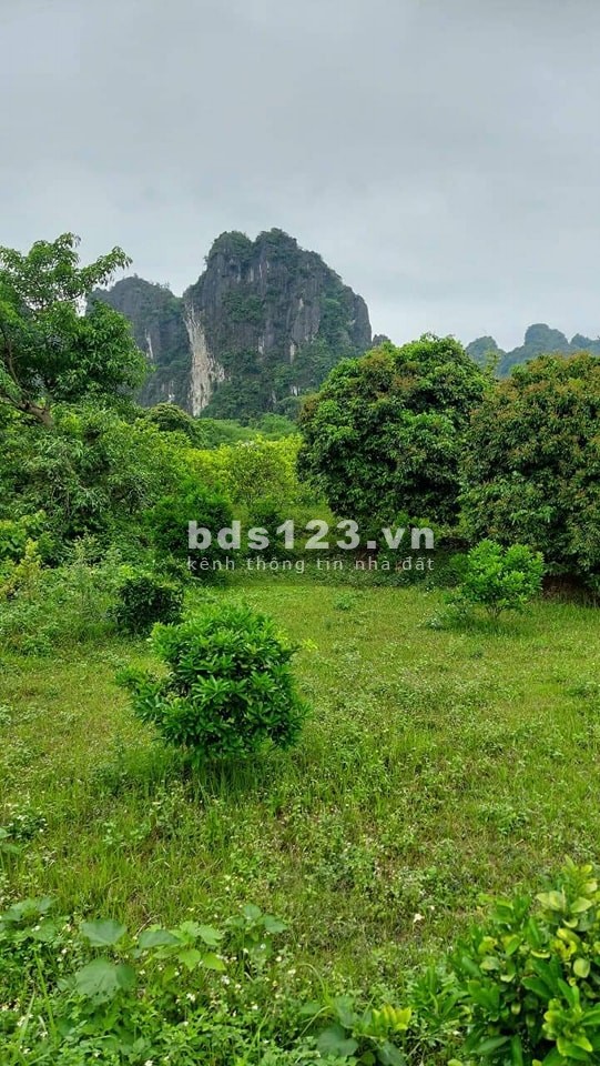 Đất Tân Lạc Hoà Bình với giá rẻ bất ngờ pháp lý chuẩn, bàn giao đầy đủ giấy tờ lh 0966964606