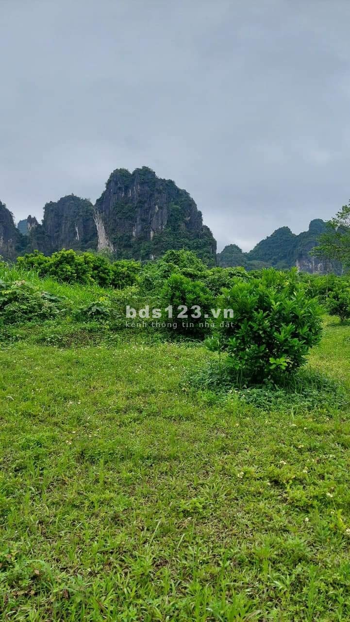 Đất Tân Lạc Hoà Bình với giá rẻ bất ngờ pháp lý chuẩn, bàn giao đầy đủ giấy tờ lh 0966964606