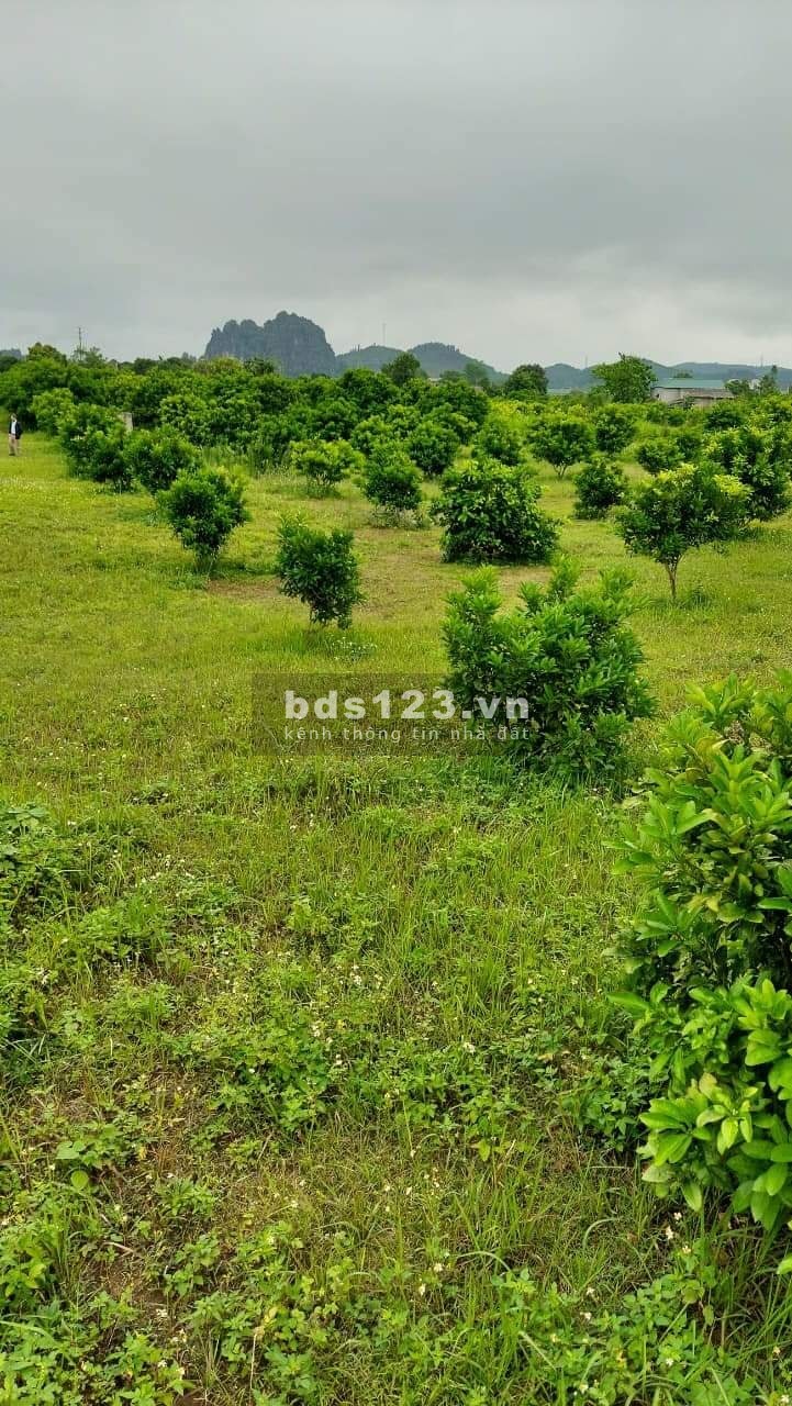 Đất Tân Lạc Hoà Bình với giá rẻ bất ngờ pháp lý chuẩn, bàn giao đầy đủ giấy tờ lh 0966964606