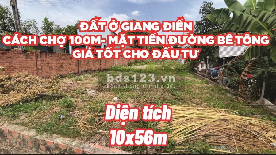 Em đang cần tiền làm vốn nên bán lại đất nền 560m2, thích hợp cho anh chị đầu tư hoặc định cư