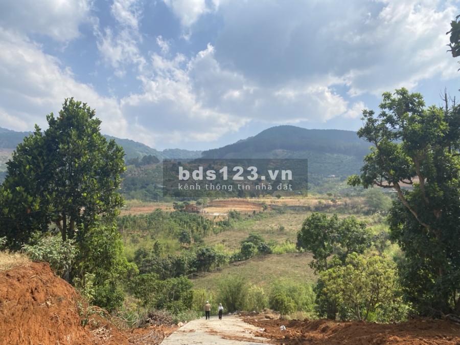 View nghỉ dưỡng Homestay Đông Thanh, Lâm Hà liên hệ 0356919013 giá đầu tư sinh lời