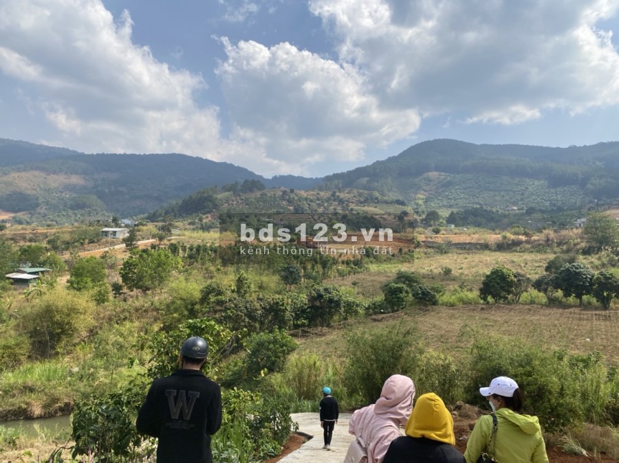 View nghỉ dưỡng Homestay Đông Thanh, Lâm Hà liên hệ 0356919013 giá đầu tư sinh lời