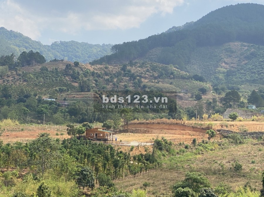 View nghỉ dưỡng Homestay Đông Thanh, Lâm Hà liên hệ 0356919013 giá đầu tư sinh lời