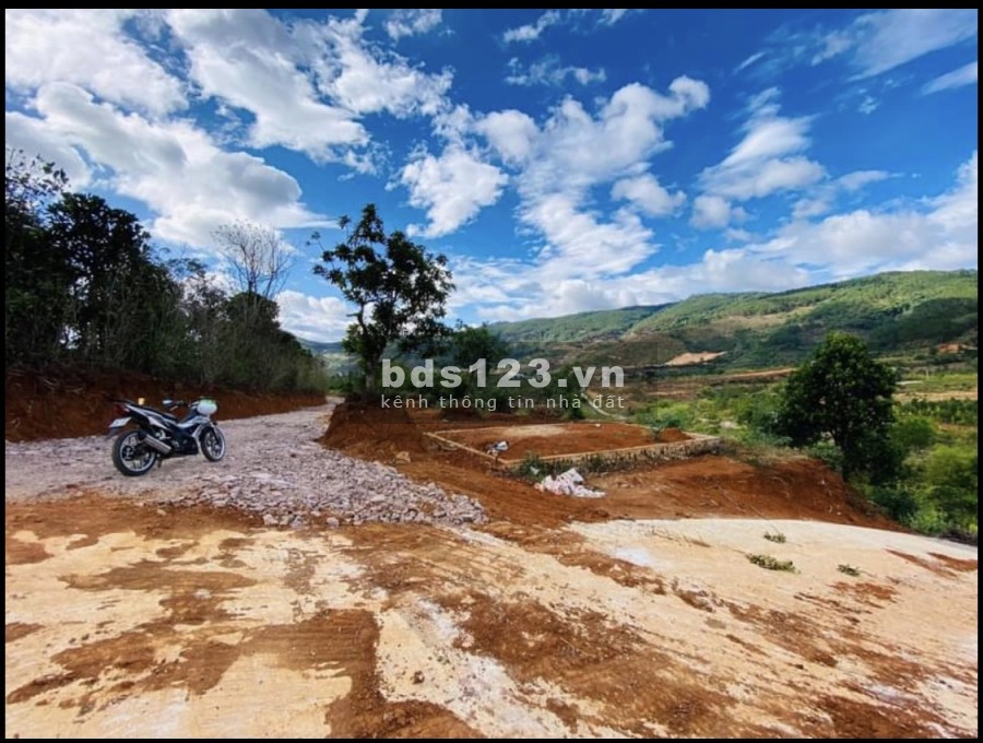 View nghỉ dưỡng Homestay Đông Thanh, Lâm Hà liên hệ 0356919013 giá đầu tư sinh lời