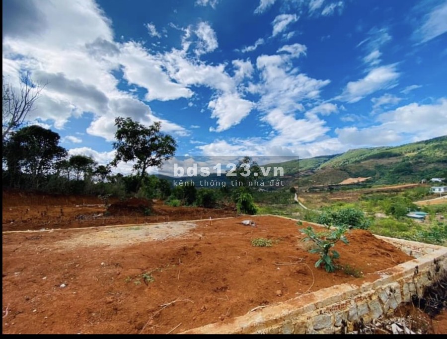 View nghỉ dưỡng Homestay Đông Thanh, Lâm Hà liên hệ 0356919013 giá đầu tư sinh lời