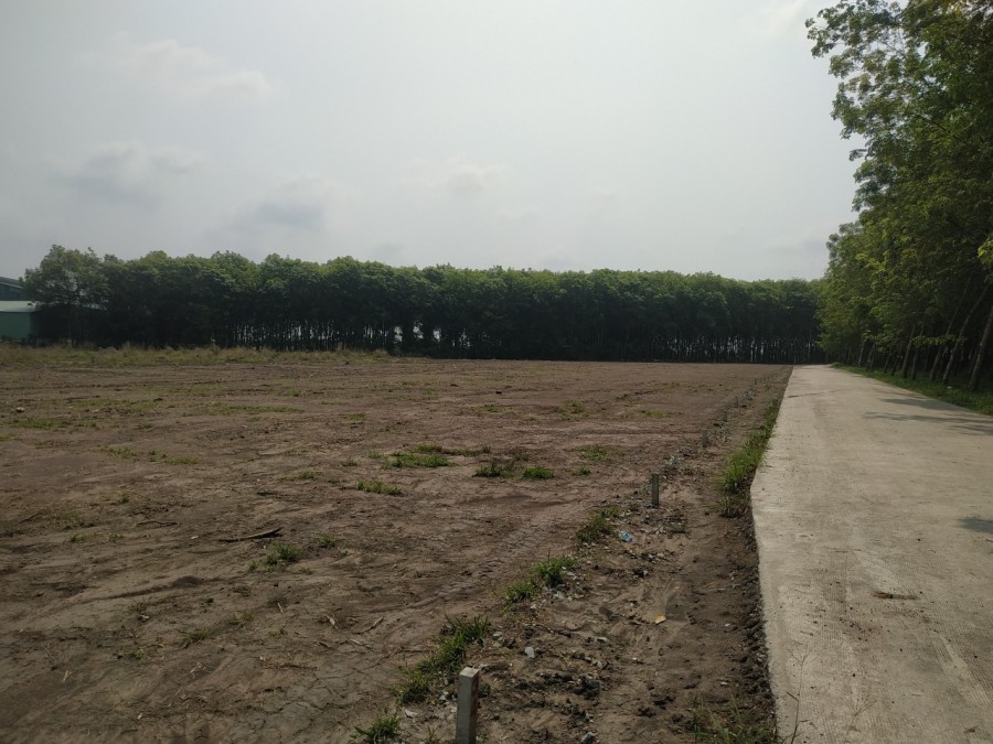 Chỉ cần có 400 triệu bạn sẽ sở hữu được 1 nền đất 220m2 có thổ cư, sổ hồng riêng. Tại Hớn Quản Bình