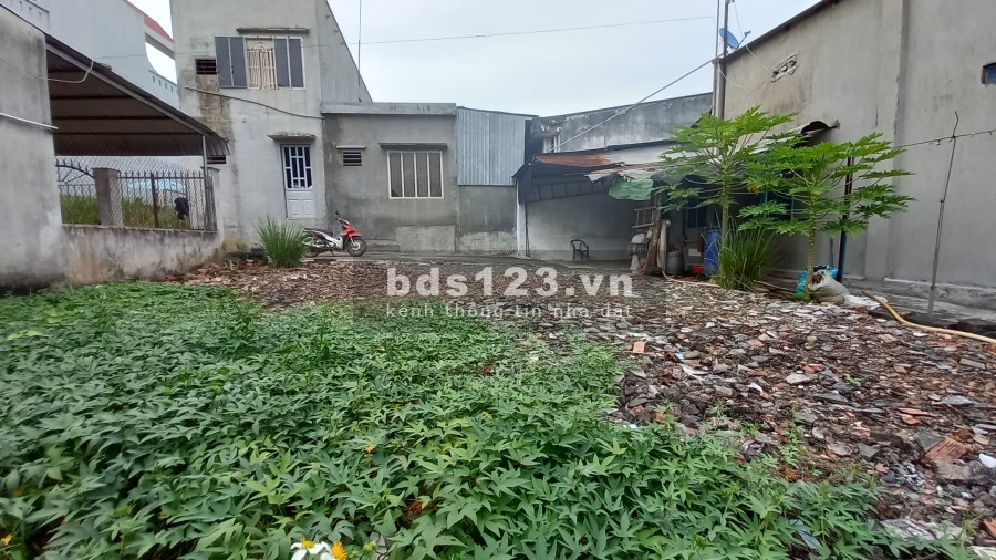 Bán Đất Cách Chợ Sông Trầu 100M, Sông Trầu, Trảng Bom, Đồng Nai giá đầu tư sinh lời