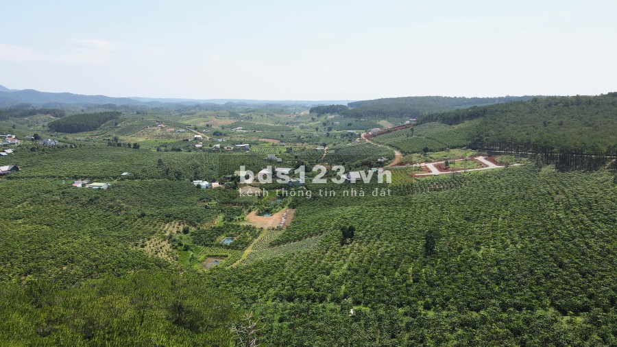 Đất nền nghỉ dưỡng, Sổ hồng riêng view đồi thông.Bảo Lâm - Lâm ĐồngLH: 0979208079