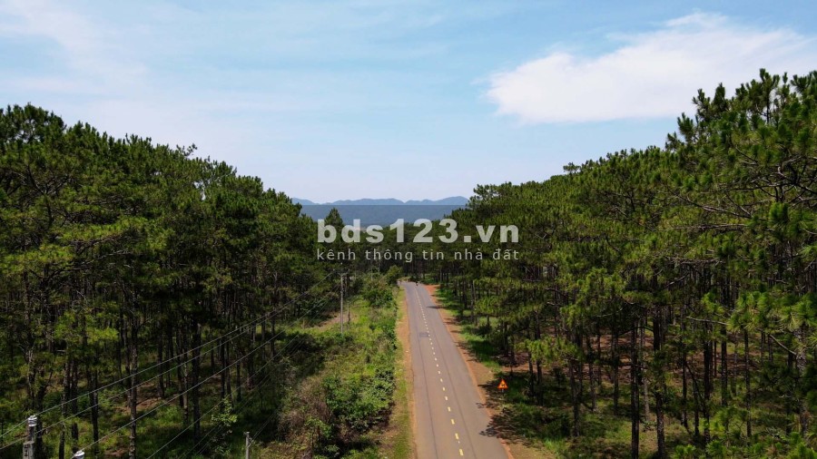 Đất nền nghỉ dưỡng, Sổ hồng riêng view đồi thông.Bảo Lâm - Lâm ĐồngLH: 0979208079