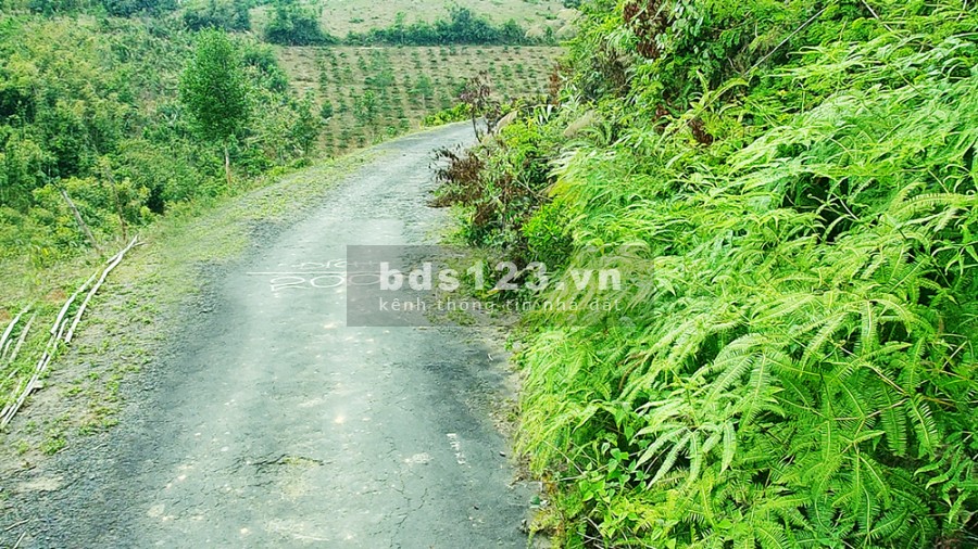 17.000m2 Hệ Hồ Nam Kar 204m Đường Nhựa, Đẹp Như Tranh Vẽ 11 Đi Lâm Đồng