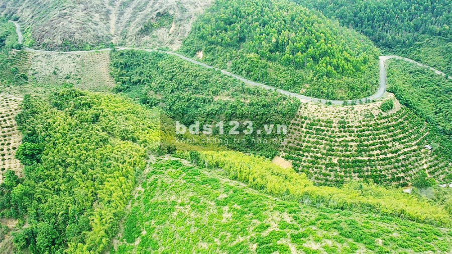 17.000m2 Hệ Hồ Nam Kar 204m Đường Nhựa, Đẹp Như Tranh Vẽ 11 Đi Lâm Đồng
