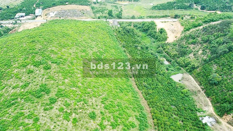 17.000m2 Hệ Hồ Nam Kar 204m Đường Nhựa, Đẹp Như Tranh Vẽ 11 Đi Lâm Đồng