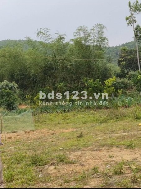 Siêu phẩm 1000m full thổ cư đường chạy quanh đất view núi đồi tứ phía giáp sống Bôi