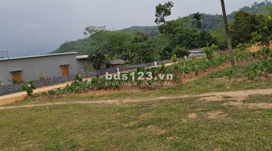 Siêu phẩm 1000m full thổ cư đường chạy quanh đất view núi đồi tứ phía giáp sống Bôi