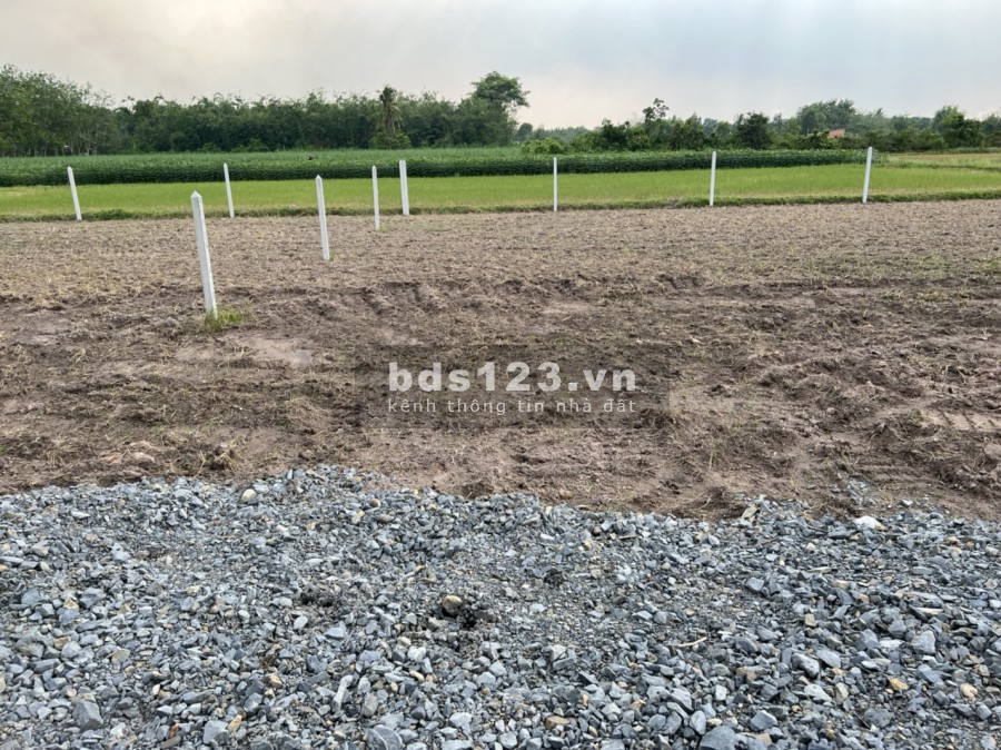 Lô đất lớn ở ấp cây da, xã hiệp thạnh ngang 32m giá chỉ 800 triệu/tháng, lh 0375921658