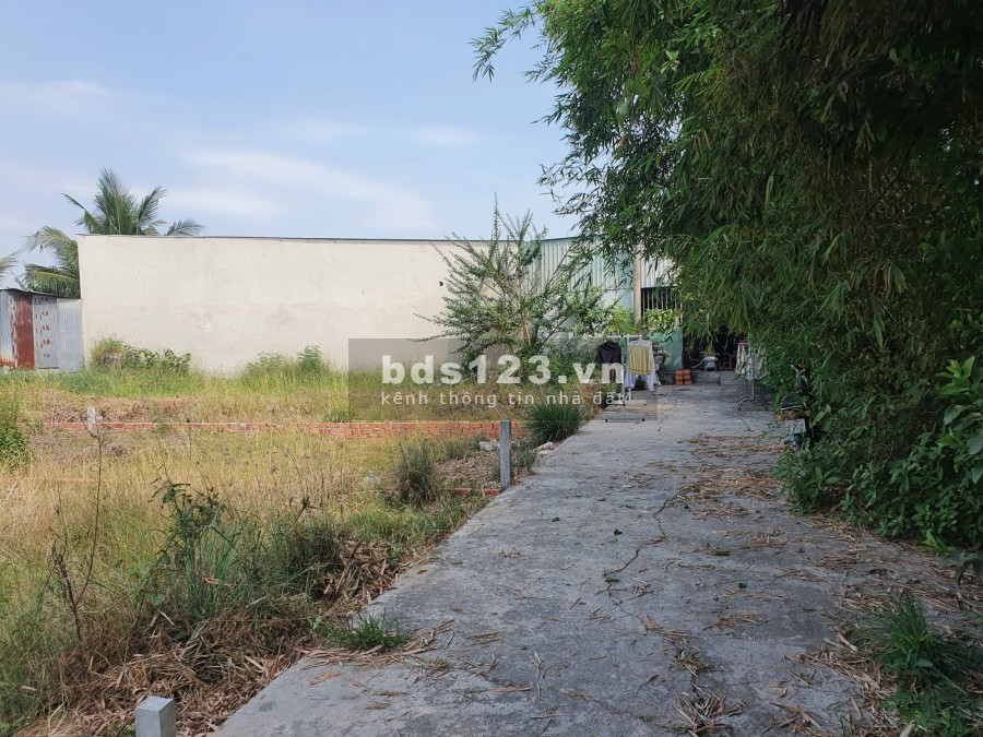 Bán đất nền full thổ cư diện tích 115m2, sổ hồng riêng, xã Mỹ Lộc, Cần Giuộc Long An, giá rẻ
