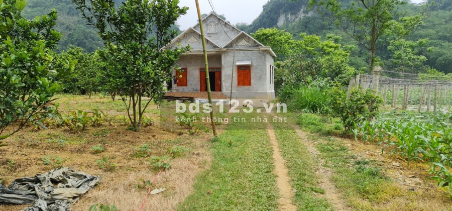 Xả hàng bán lỗ cho các nhà đầu tư giá tốt, vị trí đẹp, bàn giao đầy đủ giấy tờ, pháp lý chuẩn