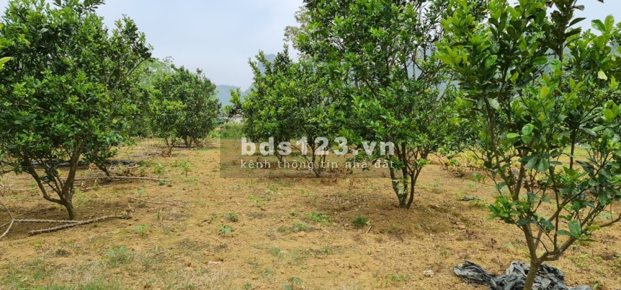 Xả hàng bán lỗ cho các nhà đầu tư giá tốt, vị trí đẹp, bàn giao đầy đủ giấy tờ, pháp lý chuẩn
