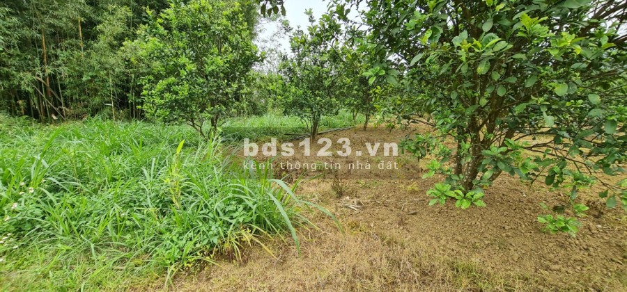 Xả hàng bán lỗ cho các nhà đầu tư giá tốt, vị trí đẹp, bàn giao đầy đủ giấy tờ, pháp lý chuẩn