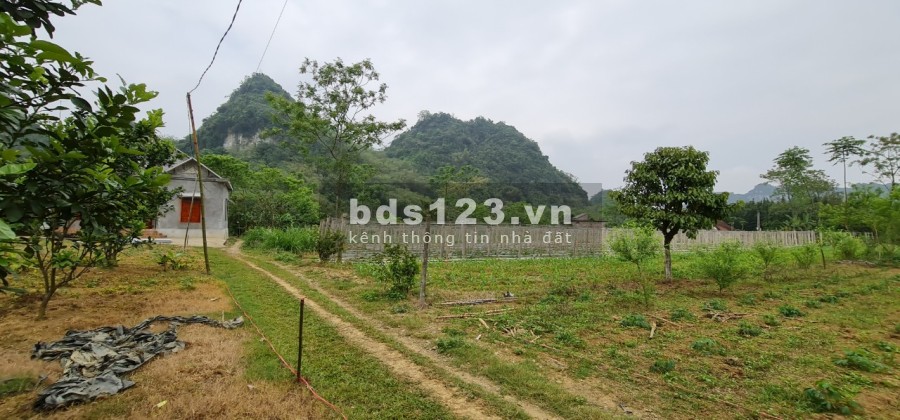 Xả hàng bán lỗ cho các nhà đầu tư giá tốt, vị trí đẹp, bàn giao đầy đủ giấy tờ, pháp lý chuẩn