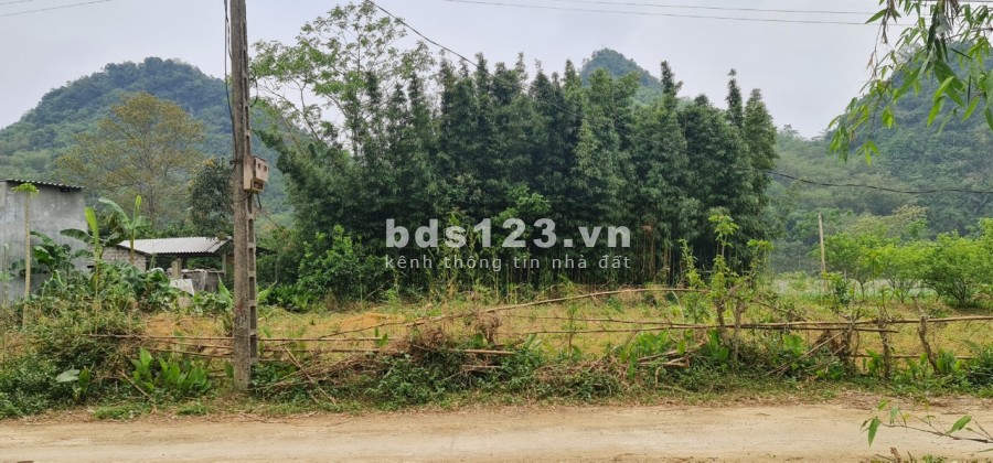 siêu phẩm ngon bổ rẻ cho các nhà đầu tư giá chỉ 1.14 tỷ pháp lý chuẩn, sổ đỏ lâu dài