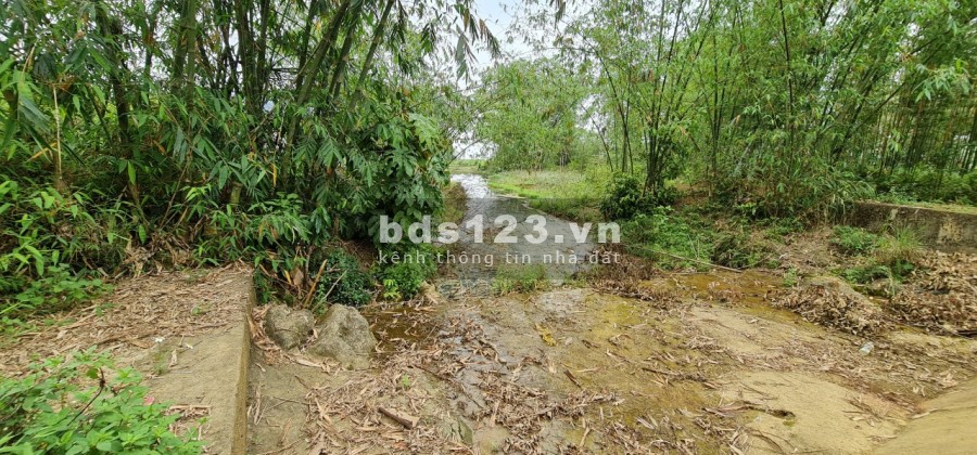 siêu phẩm ngon bổ rẻ cho các nhà đầu tư giá chỉ 1.14 tỷ pháp lý chuẩn, sổ đỏ lâu dài