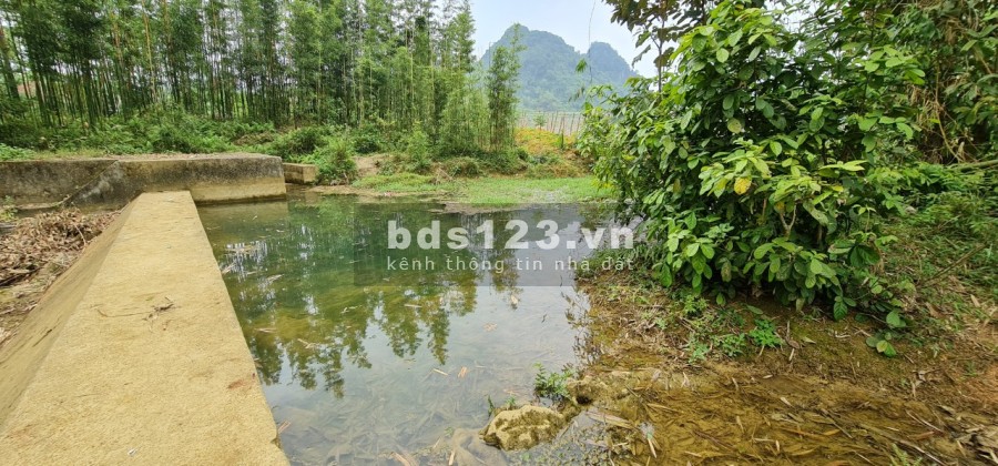 siêu phẩm ngon bổ rẻ cho các nhà đầu tư giá chỉ 1.14 tỷ pháp lý chuẩn, sổ đỏ lâu dài